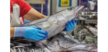 Sector alimentación